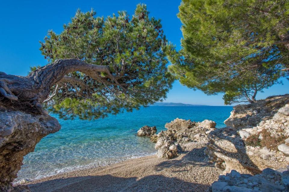 Ivan * Makarska